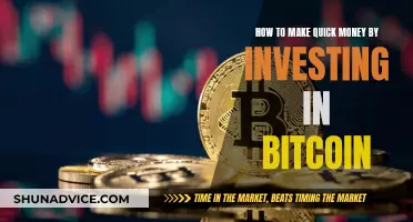 The Bitcoin Investment Rush: Quick Money, Quick Tips