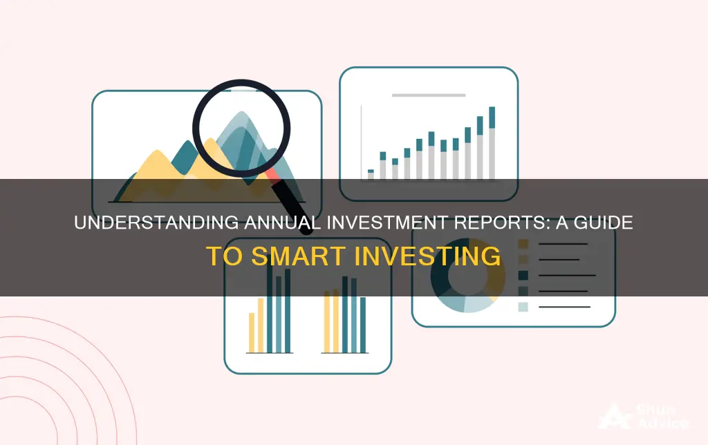 how to make sense of annual investment reports