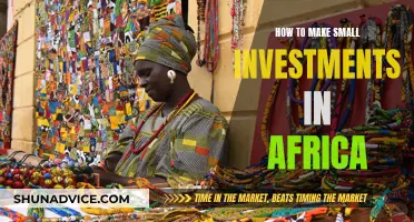 Africa's Small Investment Guide: Getting Started