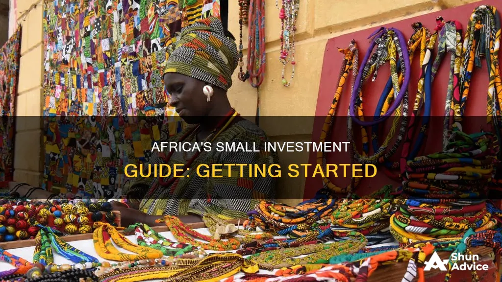 how to make small investments in africa