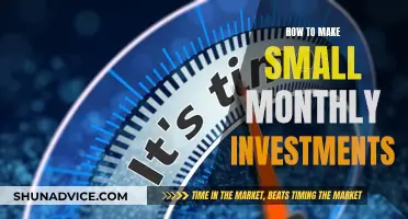 Monthly Micro-Investments: Small Steps to Wealth