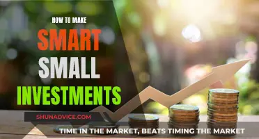 Small Investments, Big Returns: Smart Strategies for Beginners