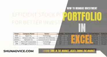 Mastering Investment Portfolio Management with Excel