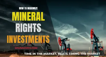 Maximizing Mineral Rights Investments: A Guide