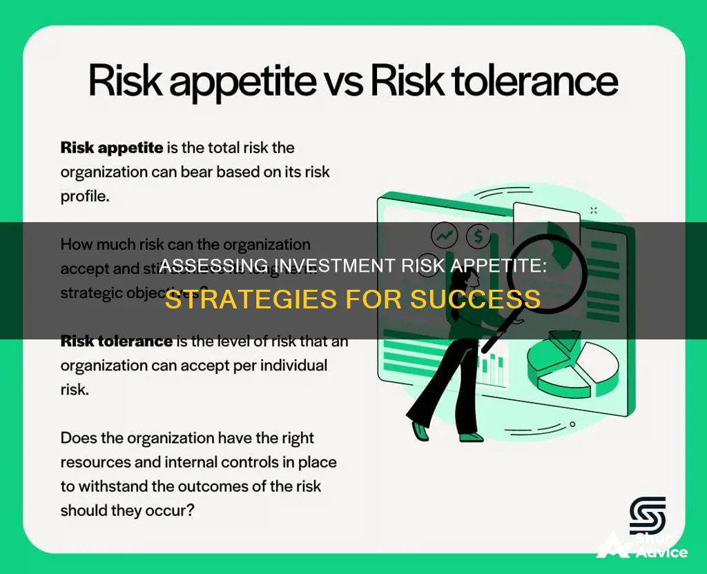 how to measure investment risk appetite