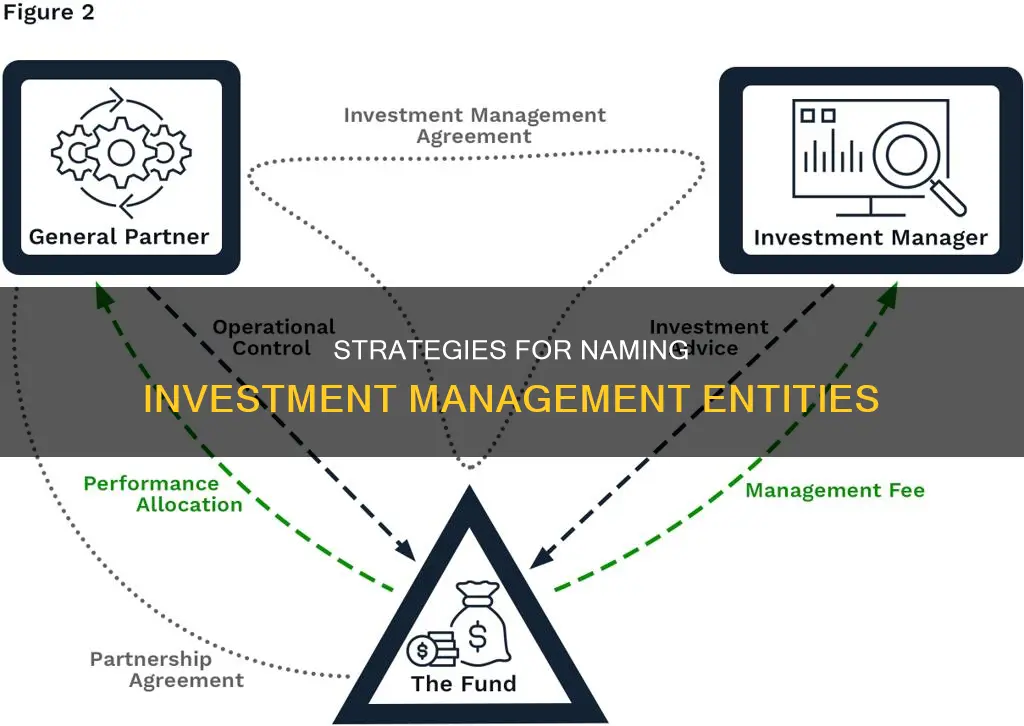 how to name an entity to hold and manage investments