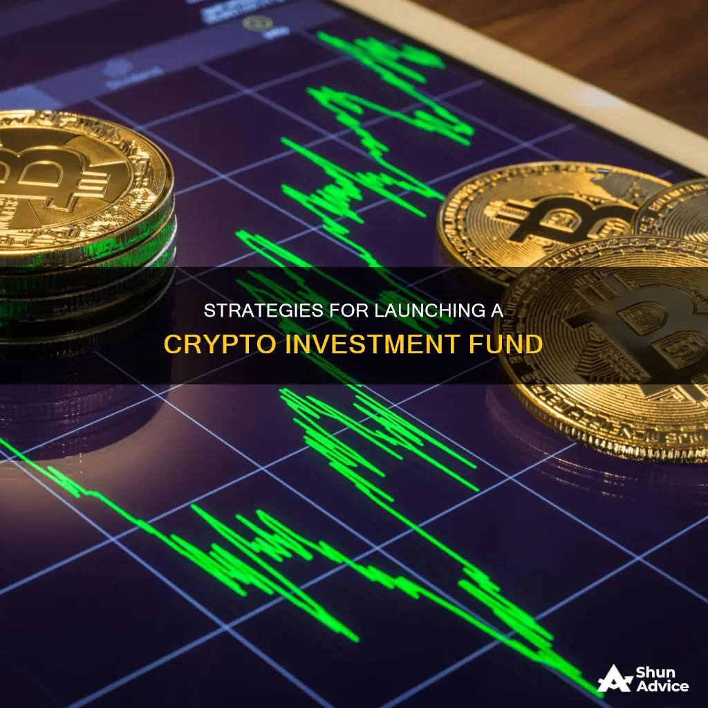 how to organize a cryptocurrency investment fund