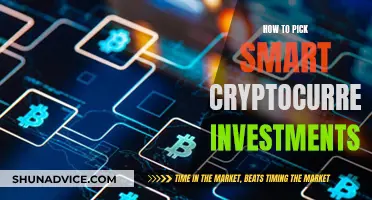 Strategic Cryptocurrency Investments: Smart Picking for Beginners