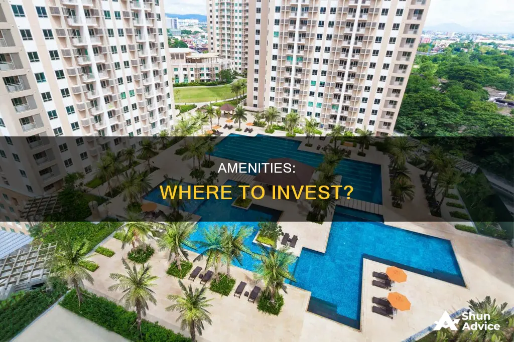 how to pick the right amenities for investment