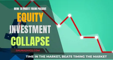 Passive Equity Investment Collapse: Strategies for Profit