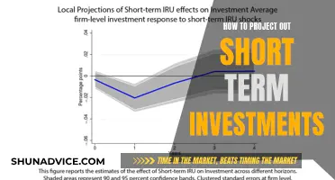 Maximize Returns: Strategies for Short-Term Investment Success