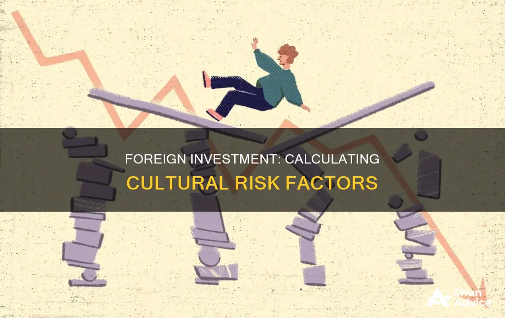 how to quantify cultural risk in foreign investments