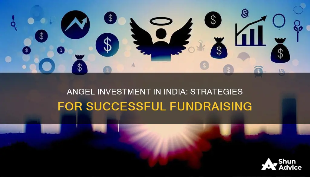 how to raise angel investment in india