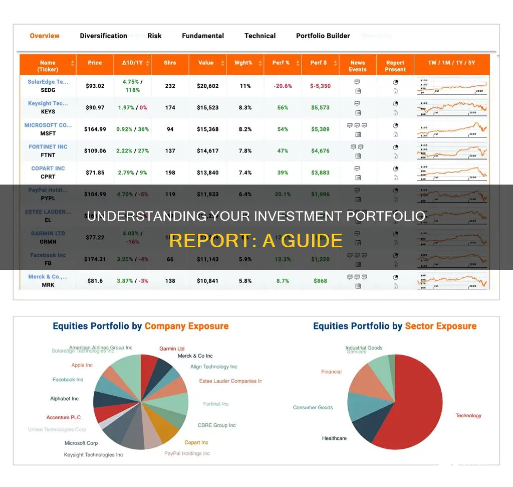 how to read an investment portfolio report