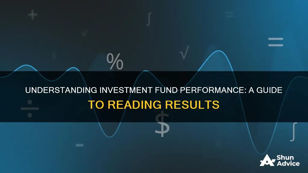 how to read investment fund performance