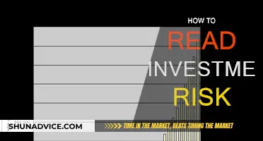 Understanding Investment Risk: A Guide to Reading the Markets