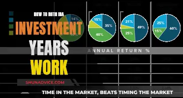 Maximize Your Retirement: Understanding Roth IRA Investment Strategies