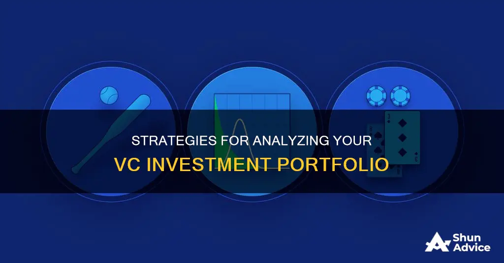 how to run a investment portfolio analysis for vc