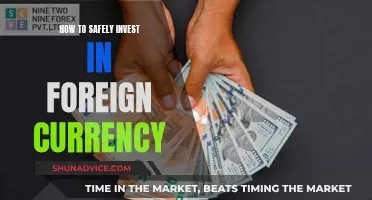 Mastering Foreign Currency Investment: A Guide to Global Financial Growth