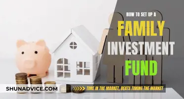 Setting Up a Family Investment Fund: A Guide