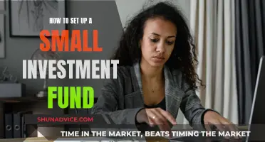 Setting Up a Small Investment Fund: A Beginner's Guide