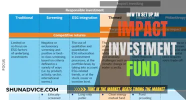 Setting Up an Impact Investment Fund: A Step-by-Step Guide