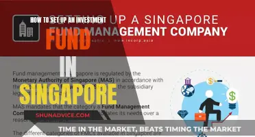 Setting Up an Investment Fund in Singapore: A Guide