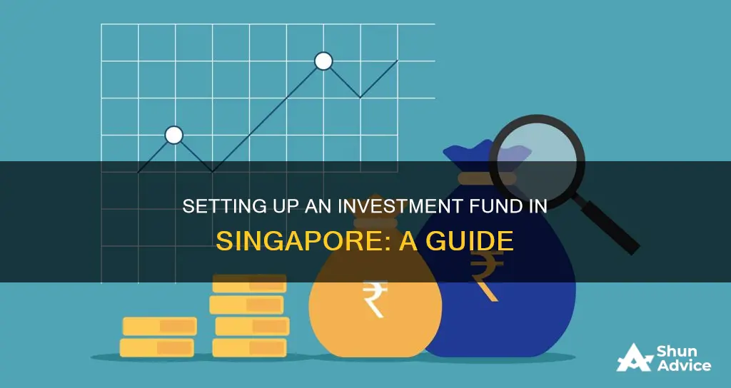 how to set up an investment fund in singapore