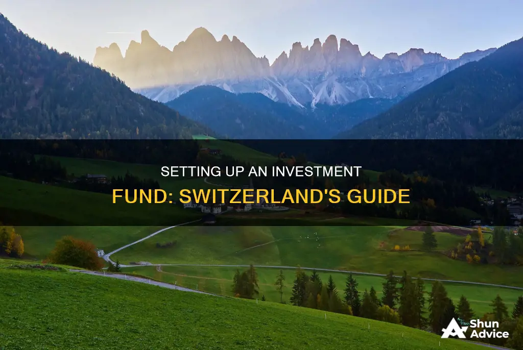 how to set up an investment fund in switzerland