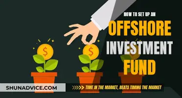 Offshore Investment Fund Setup: A Comprehensive Guide