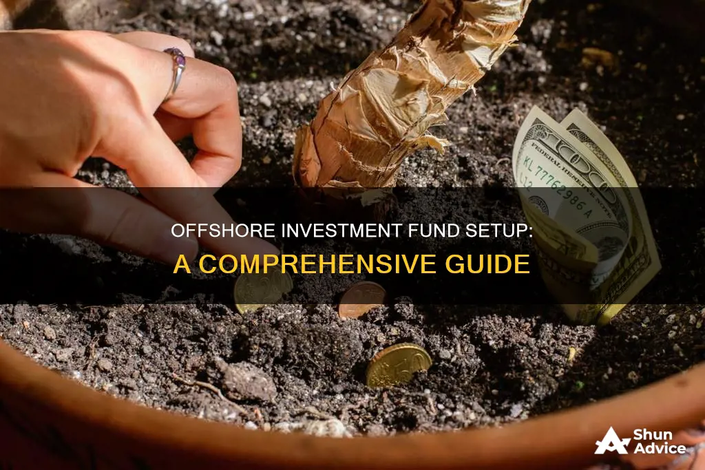 how to set up an offshore investment fund