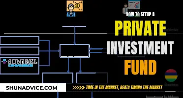 Establishing a Private Investment Fund: A Comprehensive Guide