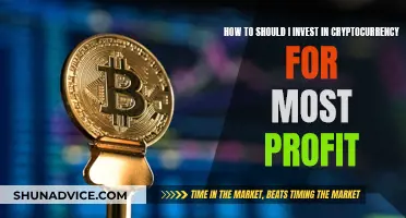 Cryptocurrency Investment Strategies for Maximum Profit