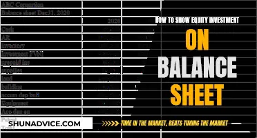 Equity Investment: Understanding Your Balance Sheet