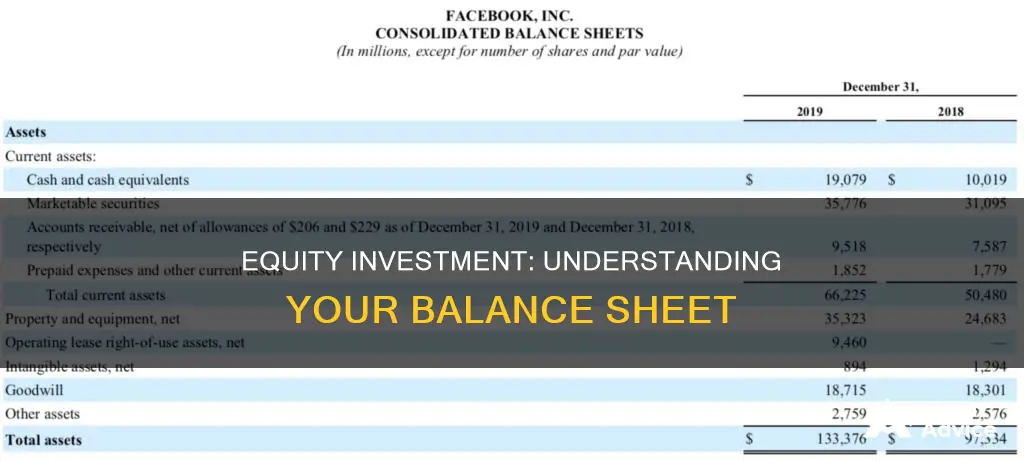 how to show equity investment on balance sheet