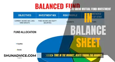 Balance Sheet Basics: Displaying Mutual Fund Investments