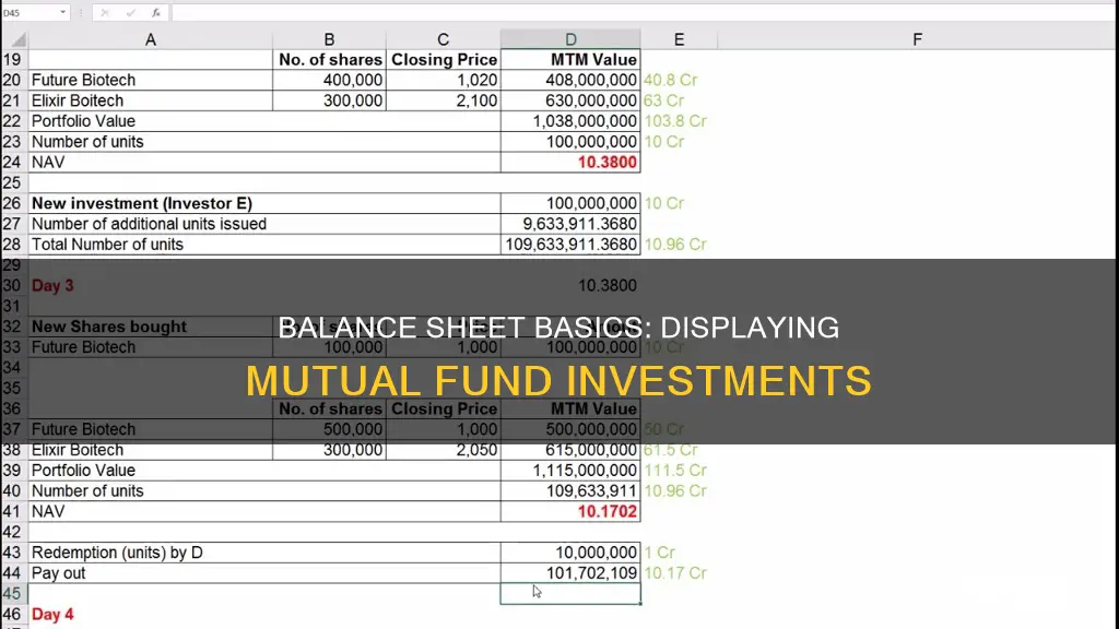 how to show mutual fund investment in balance sheet