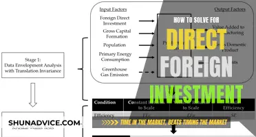 Unlocking Direct Foreign Investment: Strategies for Success