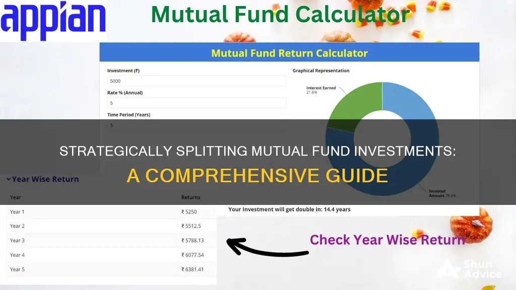 how to split mutual fund investment