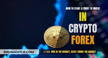 Trusts, Crypto, and Forex: A Beginner's Guide