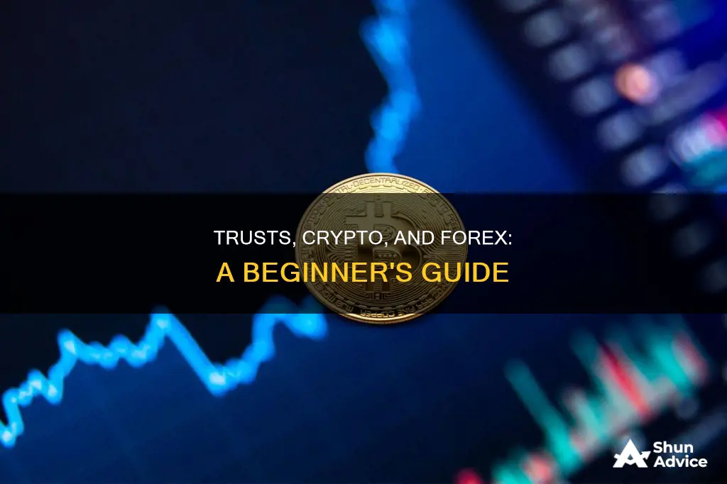 how to start a trust to invest in crypto forex