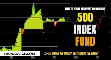 A Beginner's Guide to Vanguard 500 Index Fund Investing