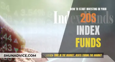 Investing in Your 20s: Index Funds for Early Investors