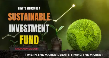 Structuring Sustainable Investment Funds: Strategies for Long-Term Success