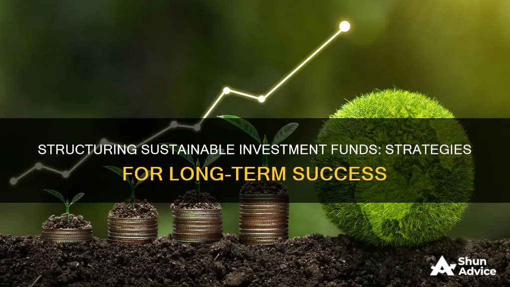 how to structure a sustainable investment fund