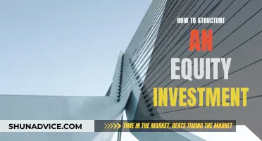 Structuring Equity Investments: A Comprehensive Guide for Beginners