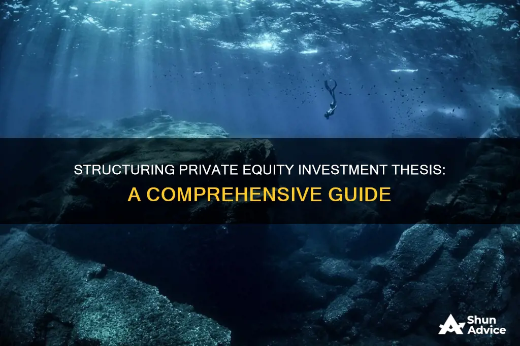 how to structure investment thesis private equity