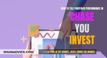 Assessing Chase You Invest: Portfolio Performance Indicators