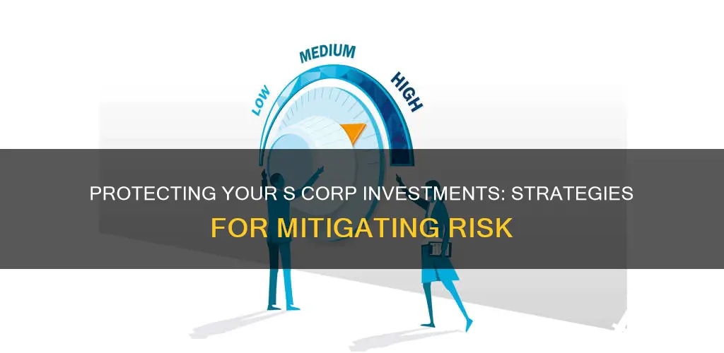 how to track at risk investment in s corp