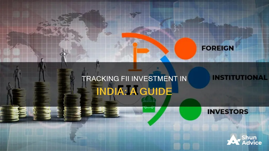 how to track fii investment in india